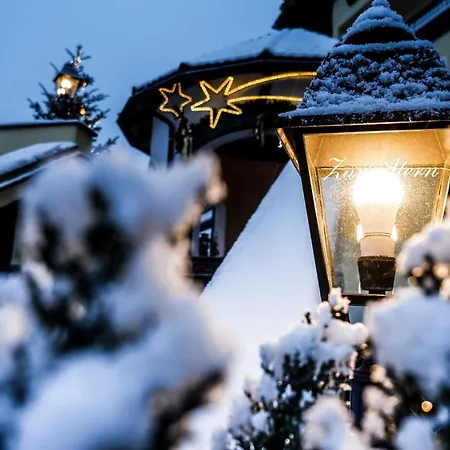 ホテル Zum Stern 4*