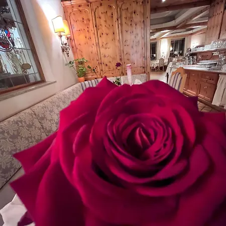 Zum Stern ホテル 4*