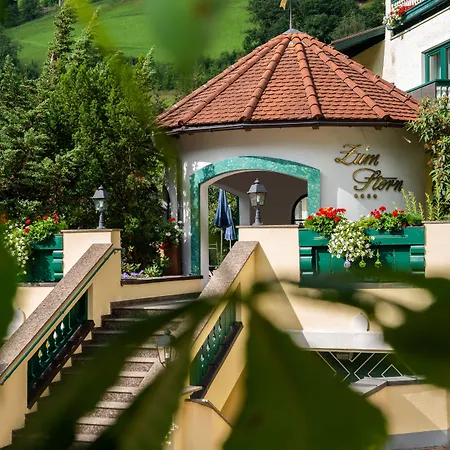 Zum Stern Hotel Bad Hofgastein