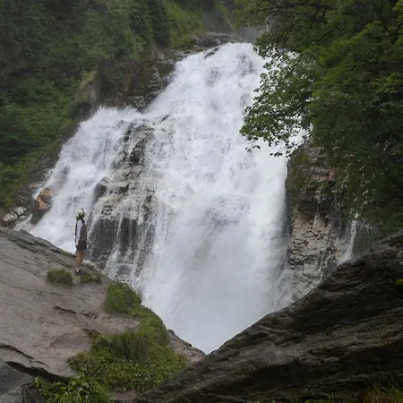 Zum Stern Inkl Gasteiner Bergbahnen Im Sommer 4* バート・ホーフガシュタイン
