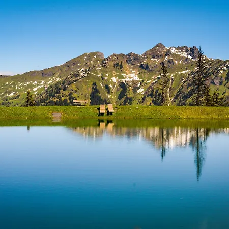 Hotell Zum Stern Inkl Gasteiner Bergbahnen Im Sommer