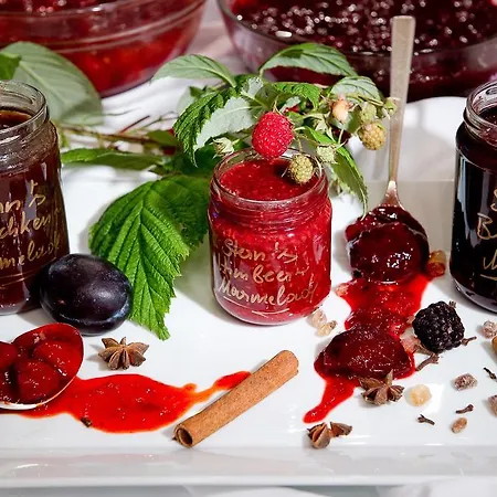 ホテル Zum Stern 4*